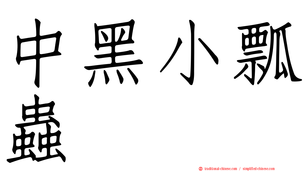 中黑小瓢蟲