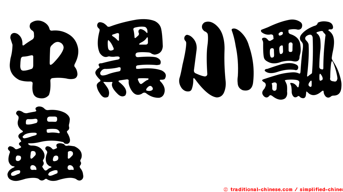 中黑小瓢蟲