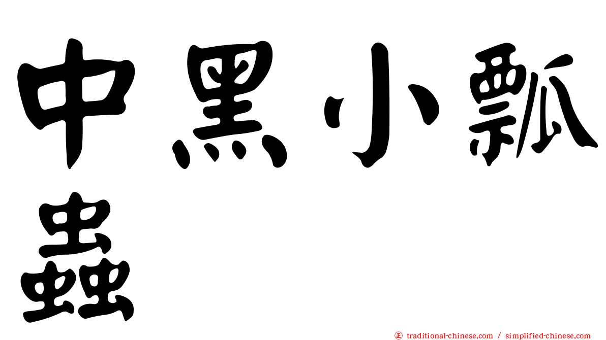 中黑小瓢蟲