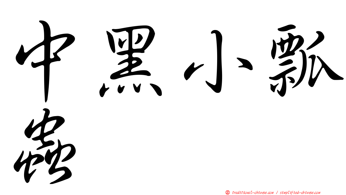 中黑小瓢蟲