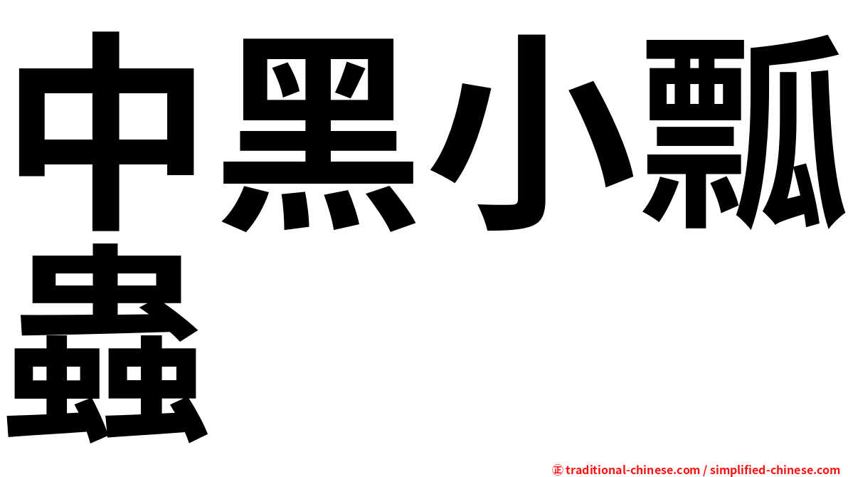 中黑小瓢蟲