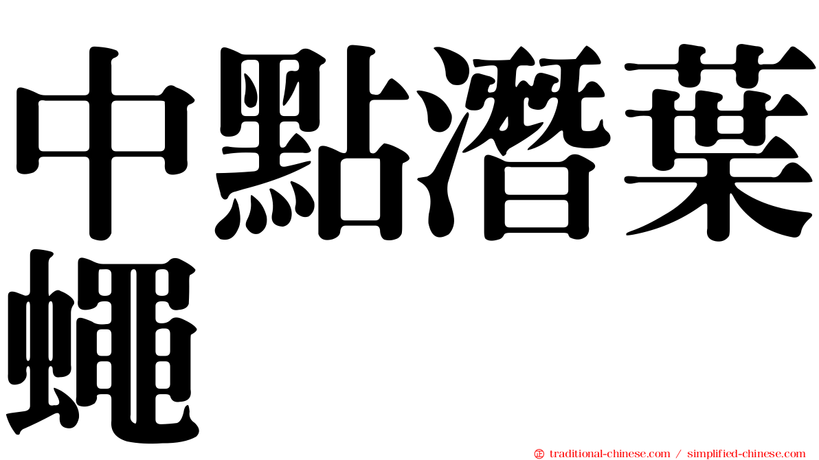中點潛葉蠅