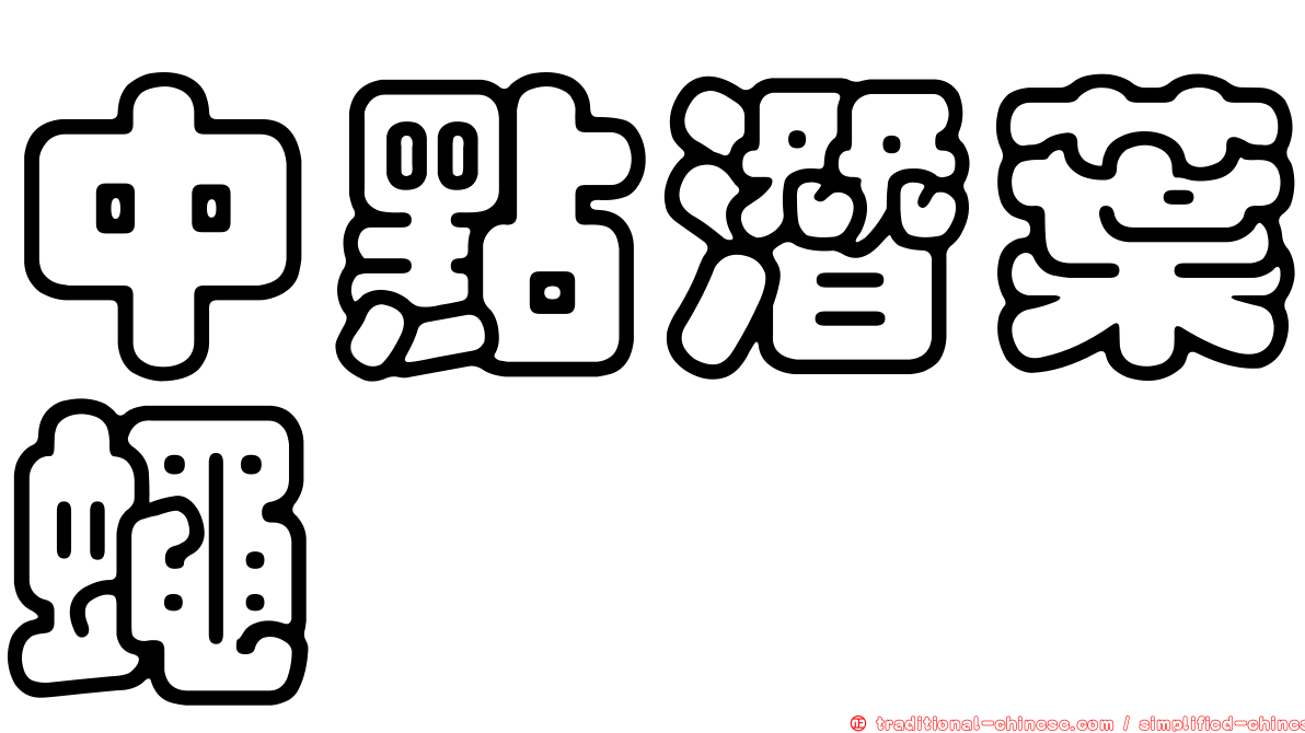 中點潛葉蠅
