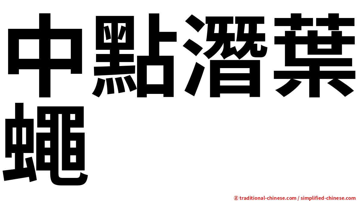 中點潛葉蠅