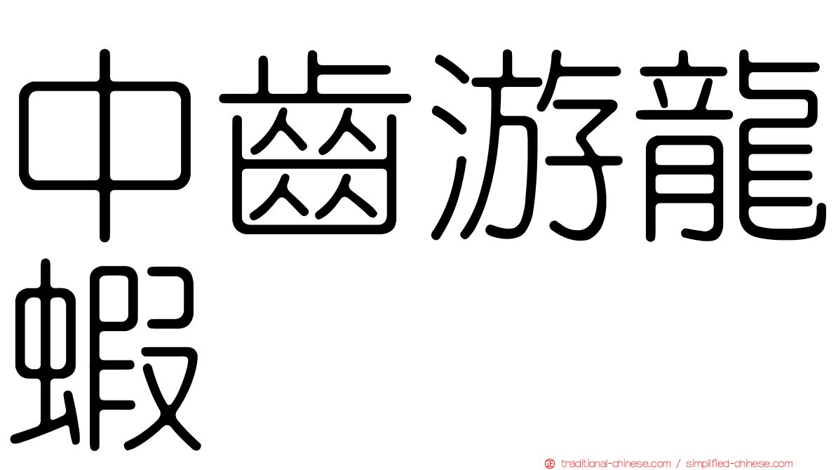 中齒游龍蝦
