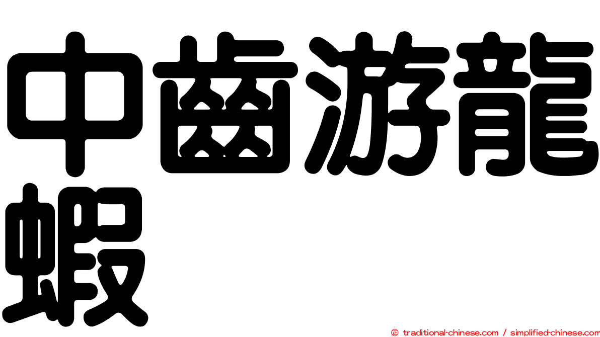 中齒游龍蝦