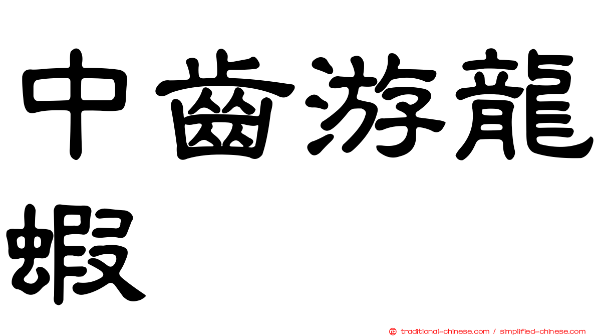 中齒游龍蝦