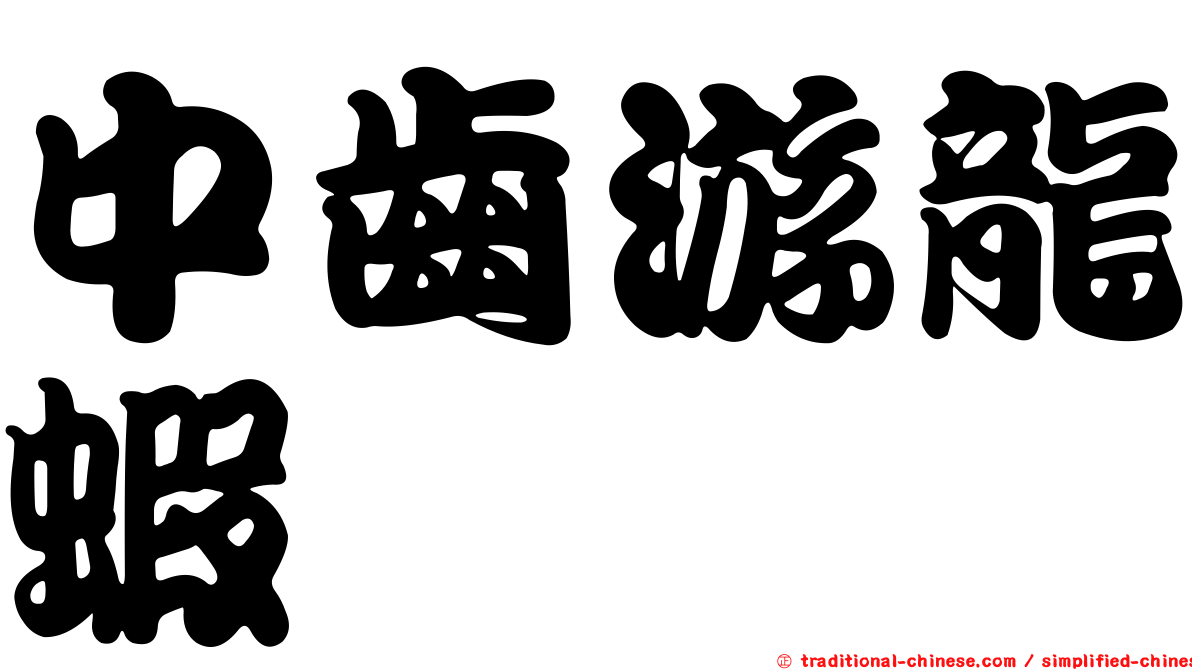 中齒游龍蝦