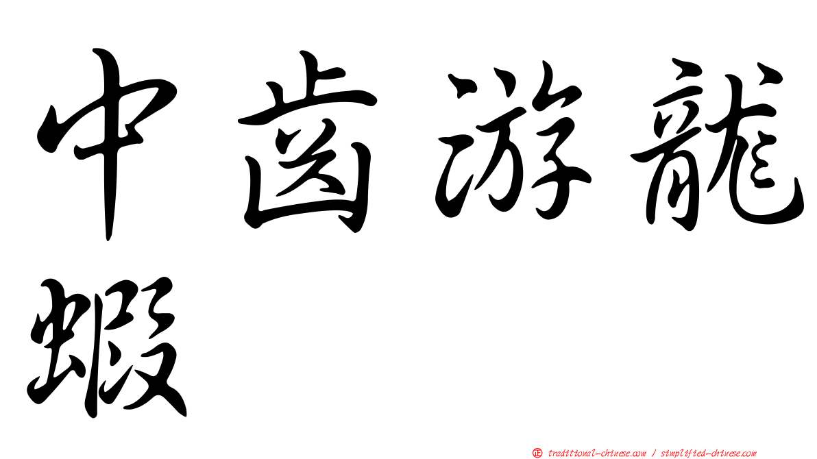 中齒游龍蝦