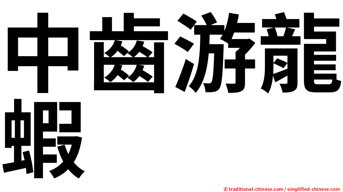 中齒游龍蝦