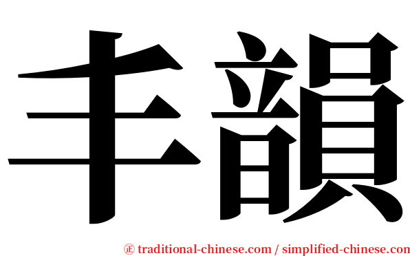 丰韻 serif font