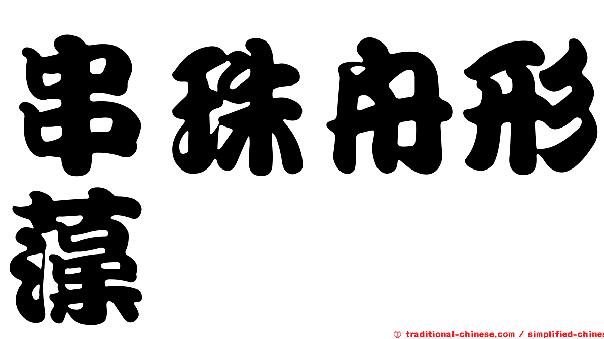 串珠舟形藻