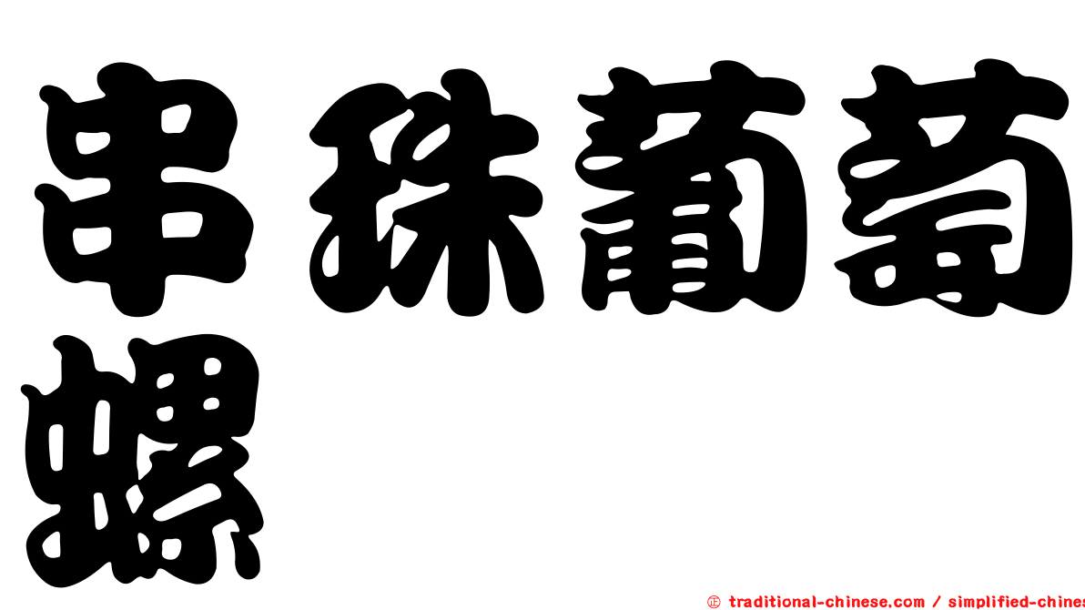 串珠葡萄螺