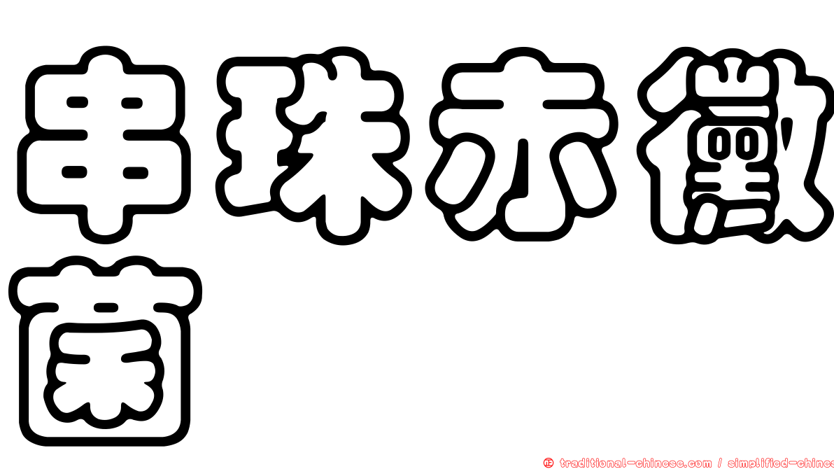 串珠赤黴菌