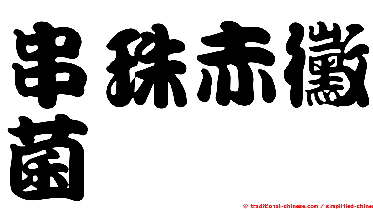 串珠赤黴菌