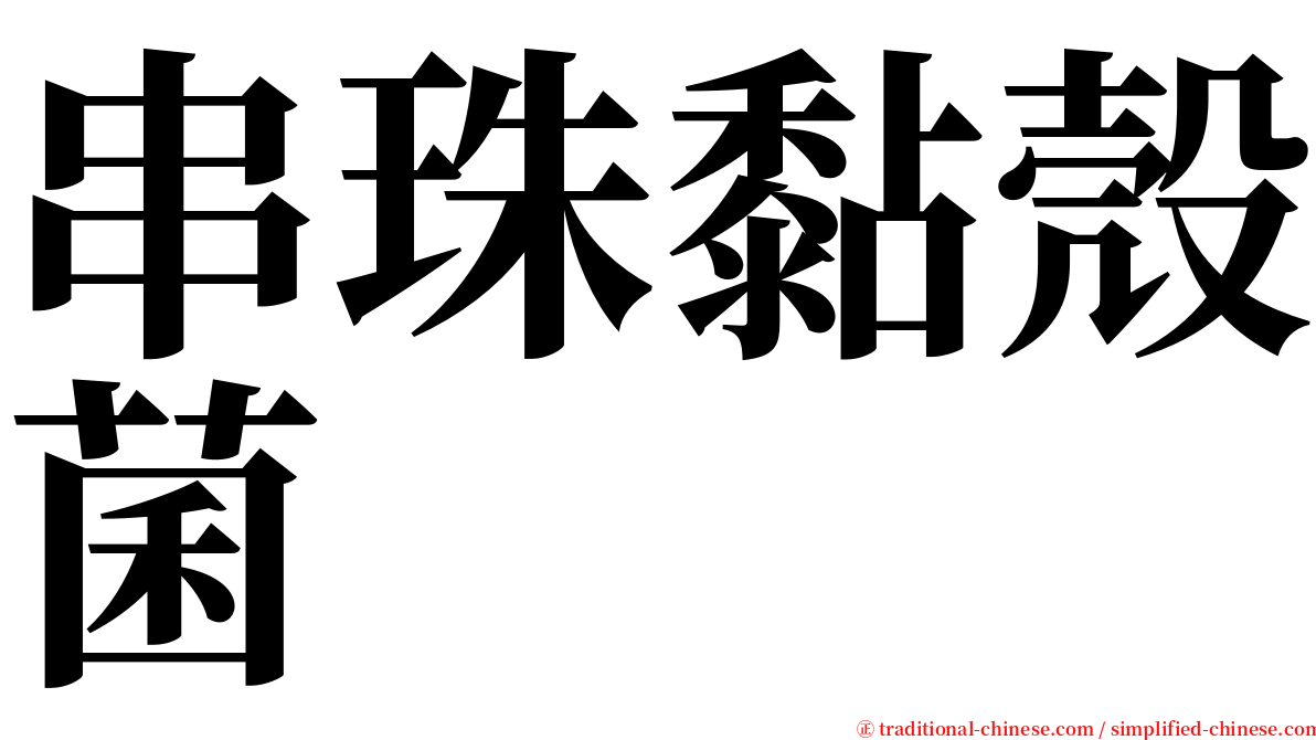 串珠黏殼菌 serif font