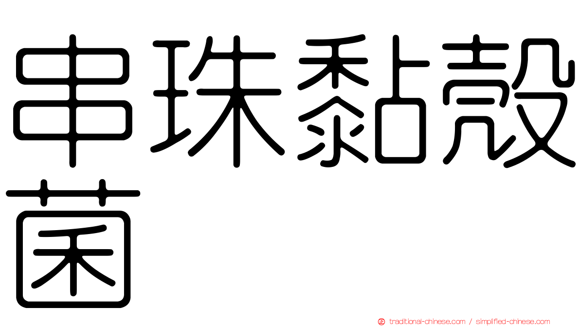 串珠黏殼菌