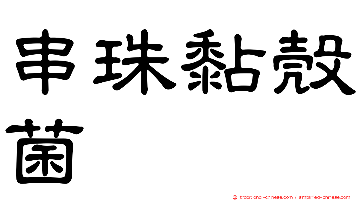 串珠黏殼菌