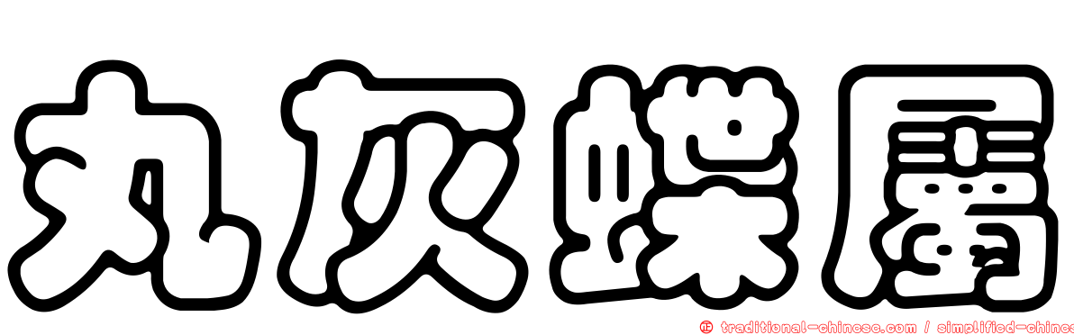 丸灰蝶屬
