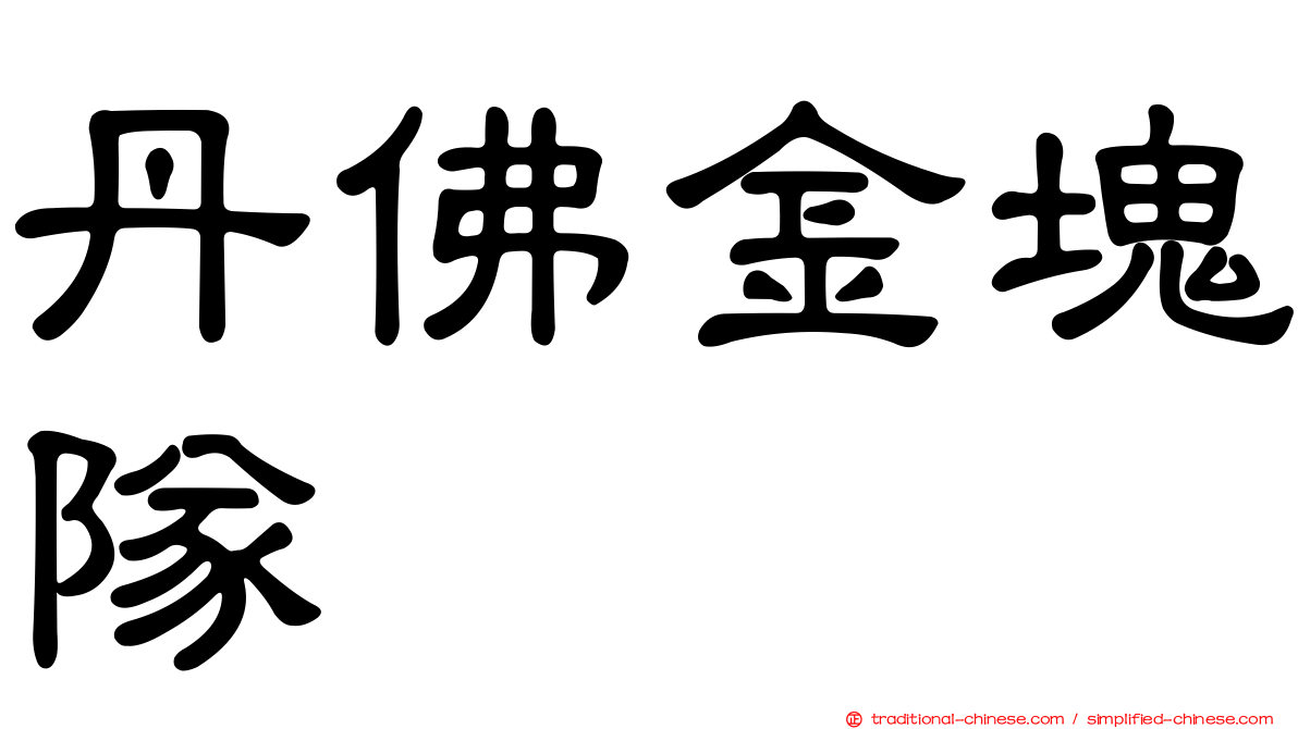 丹佛金塊隊