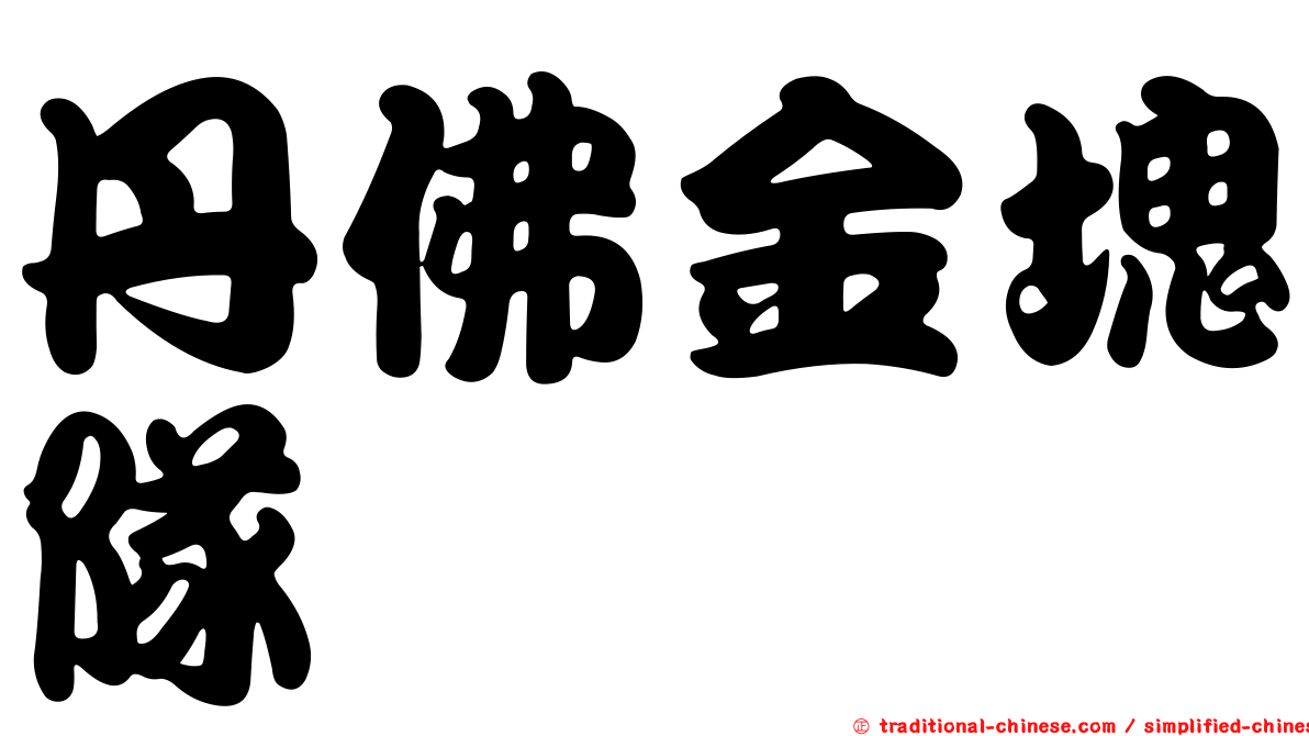 丹佛金塊隊