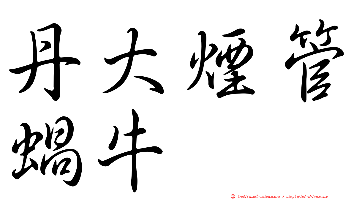 丹大煙管蝸牛