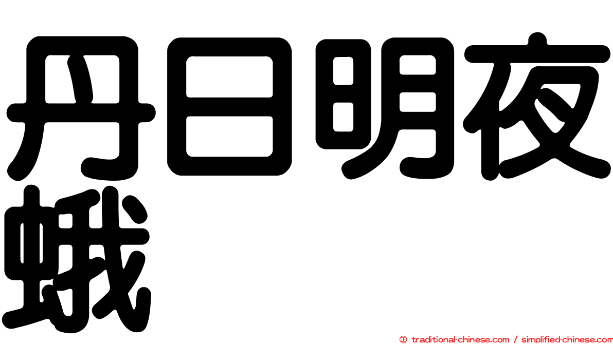 丹日明夜蛾