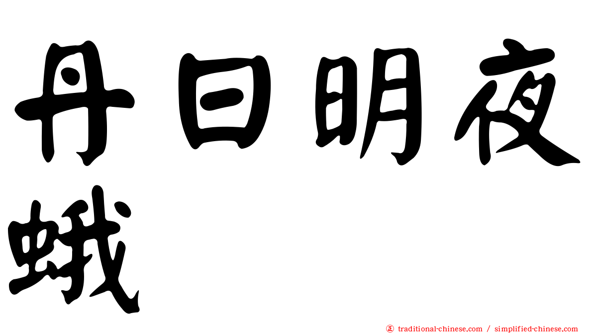 丹日明夜蛾