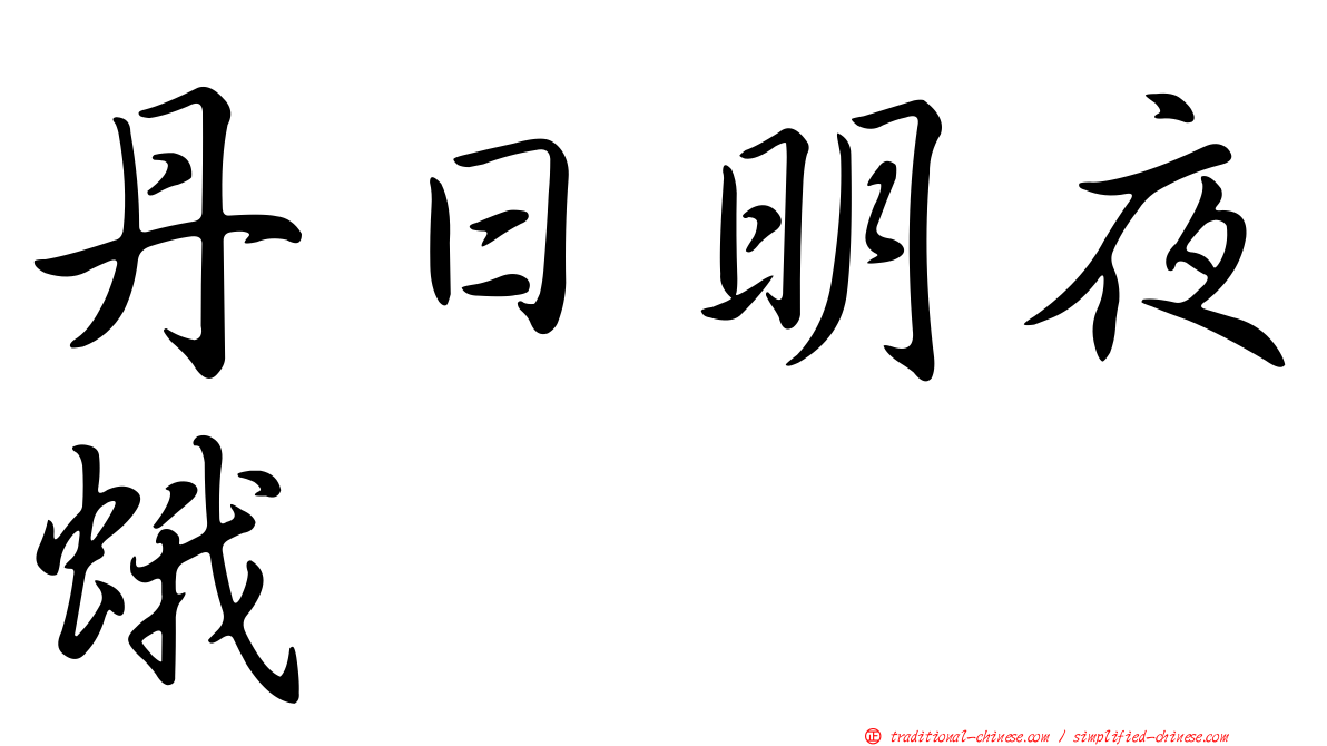 丹日明夜蛾