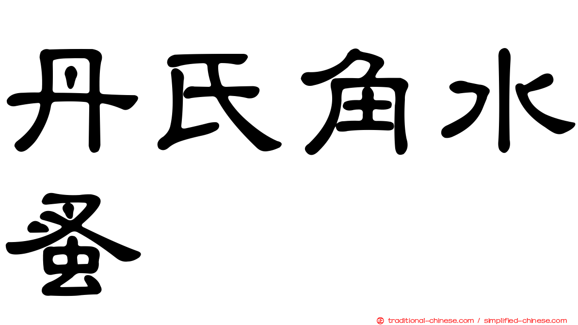 丹氏角水蚤