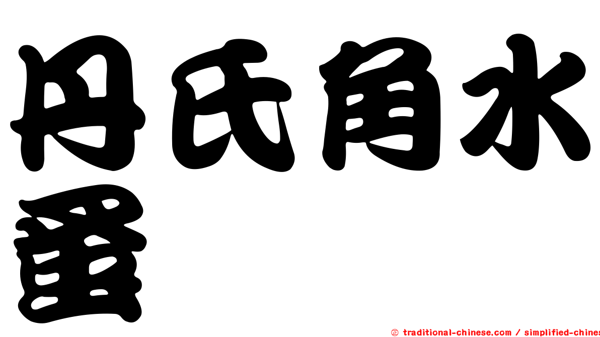 丹氏角水蚤