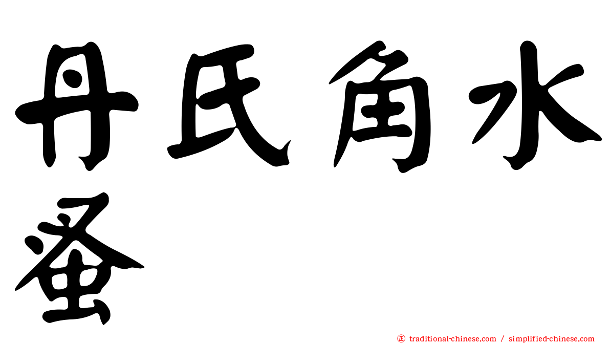 丹氏角水蚤