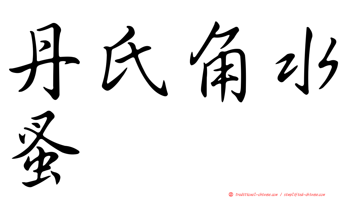 丹氏角水蚤