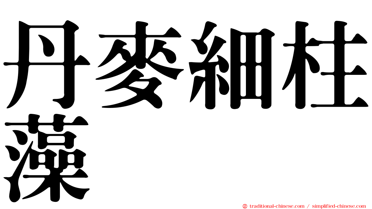 丹麥細柱藻