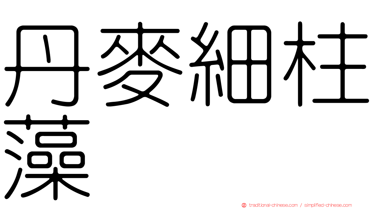 丹麥細柱藻