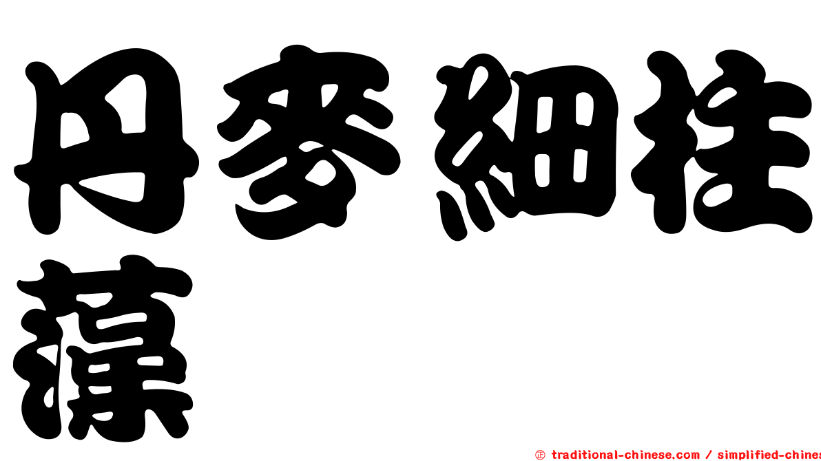 丹麥細柱藻