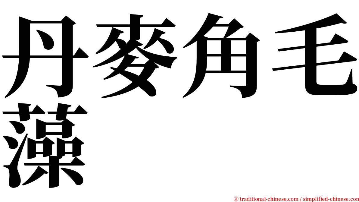 丹麥角毛藻 serif font