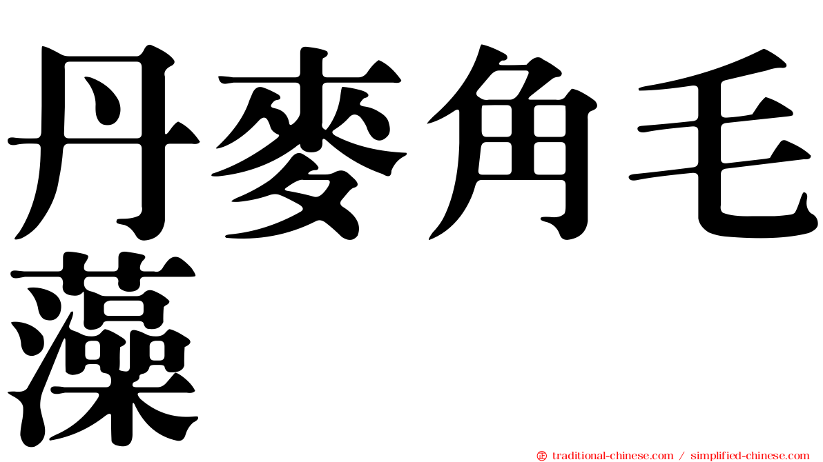 丹麥角毛藻