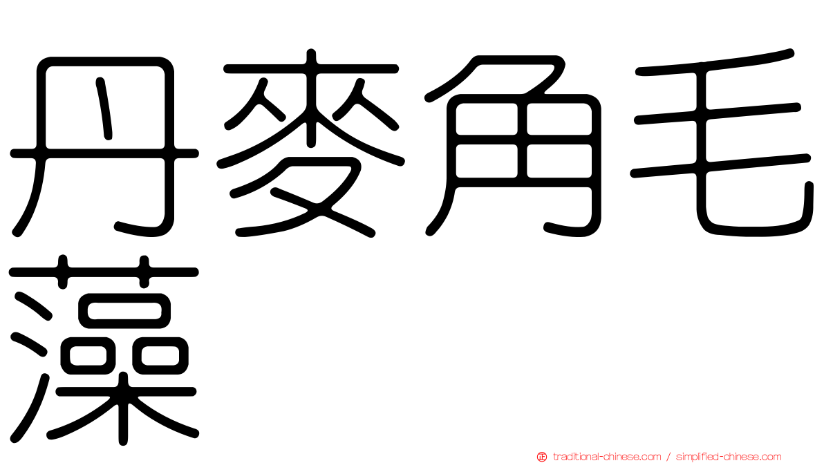 丹麥角毛藻