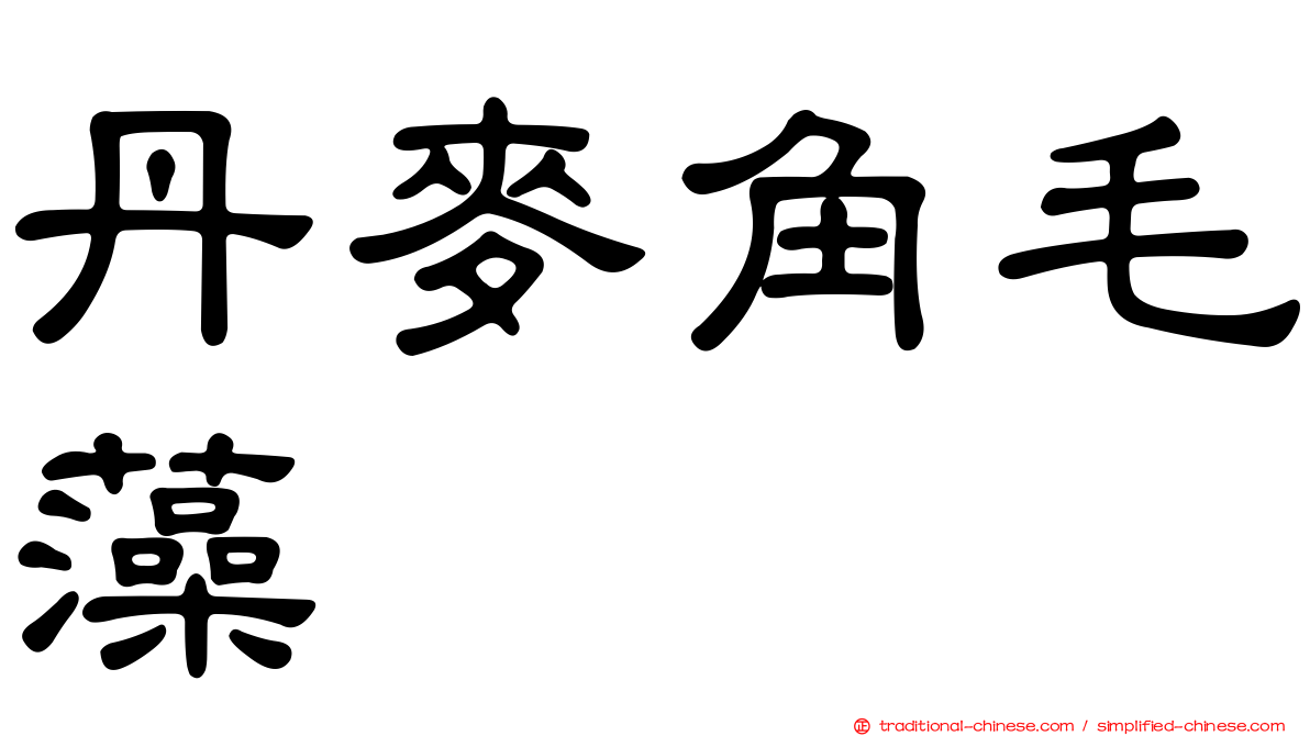 丹麥角毛藻