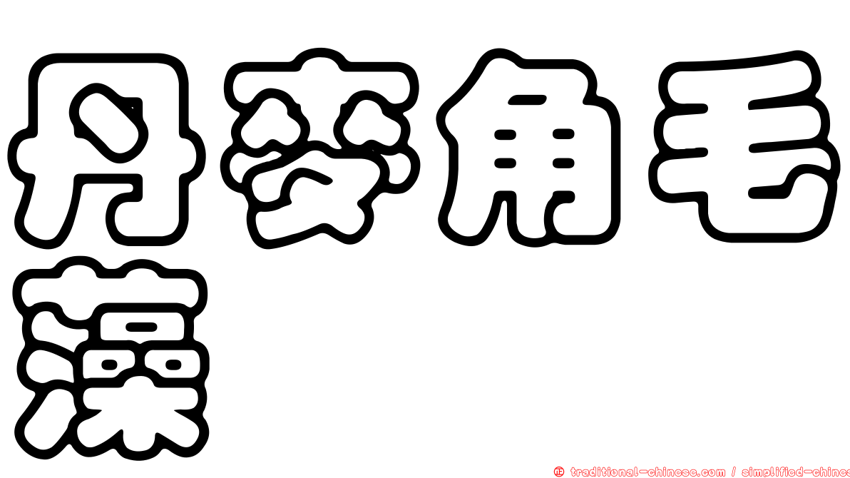丹麥角毛藻