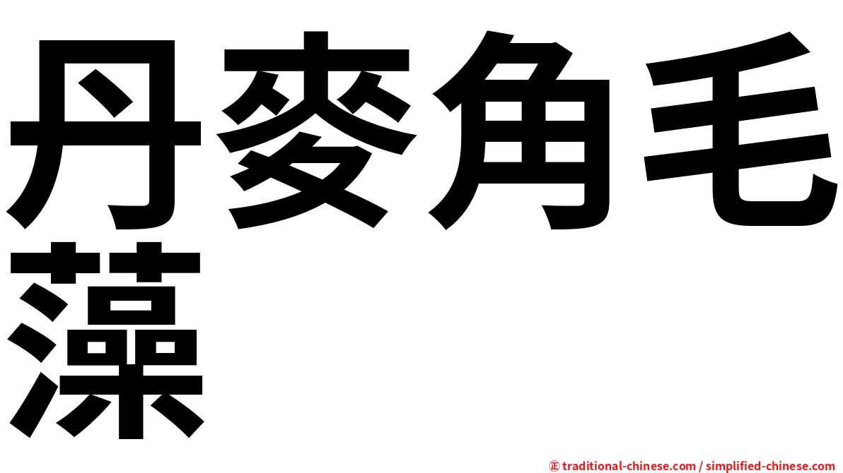 丹麥角毛藻