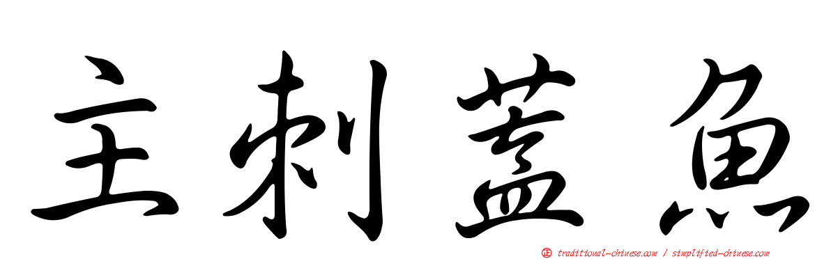 主刺蓋魚