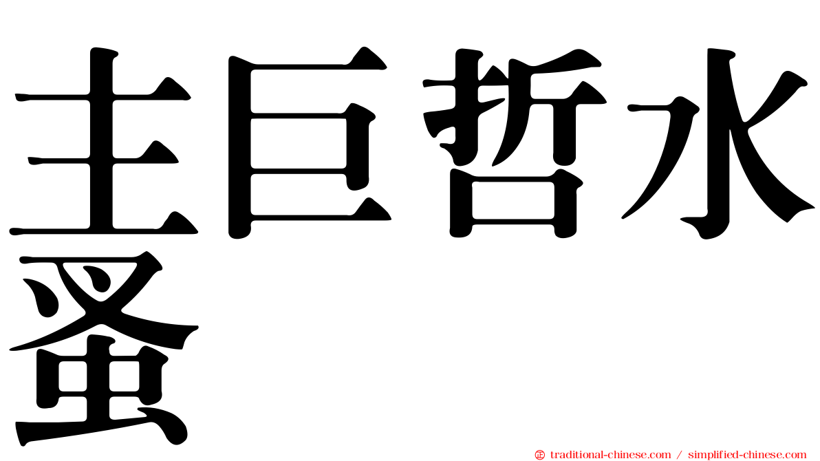 主巨哲水蚤