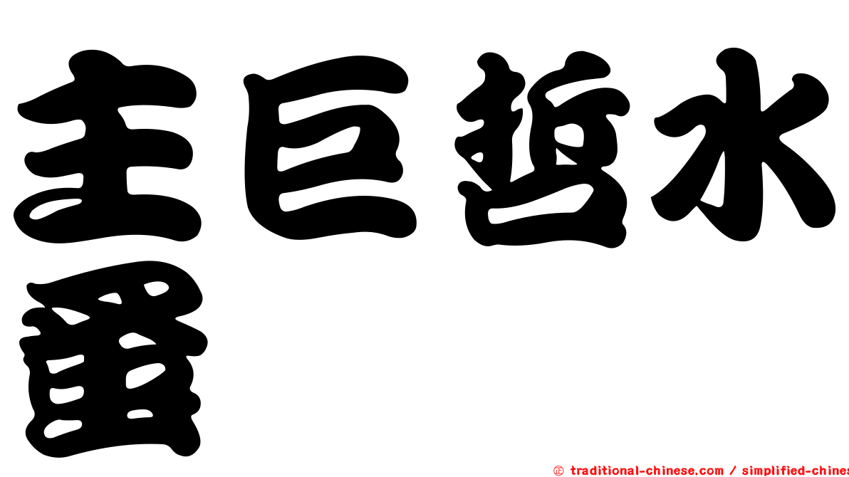 主巨哲水蚤