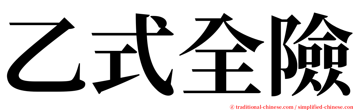 乙式全險 serif font