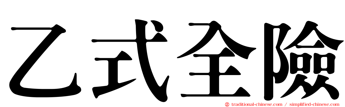 乙式全險