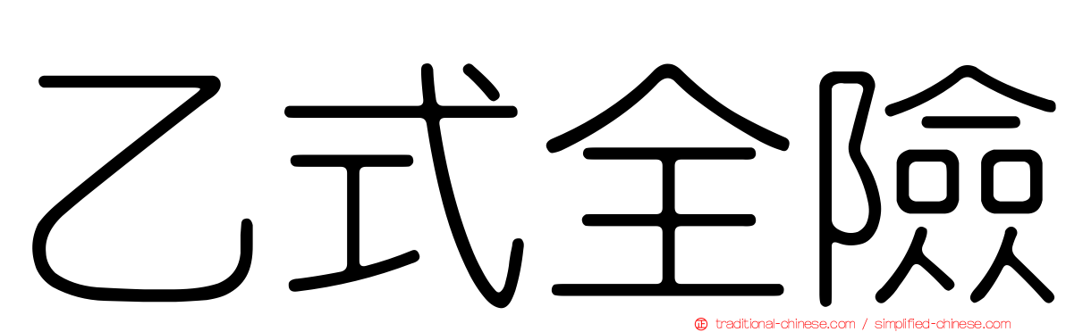 乙式全險