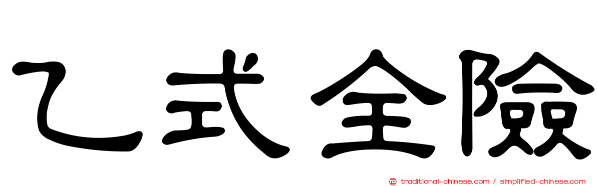 乙式全險