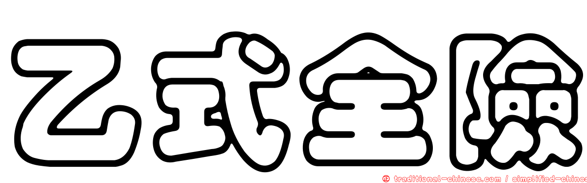 乙式全險